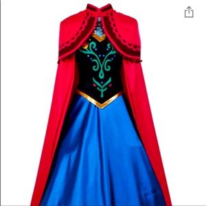 Princess Anna Costume